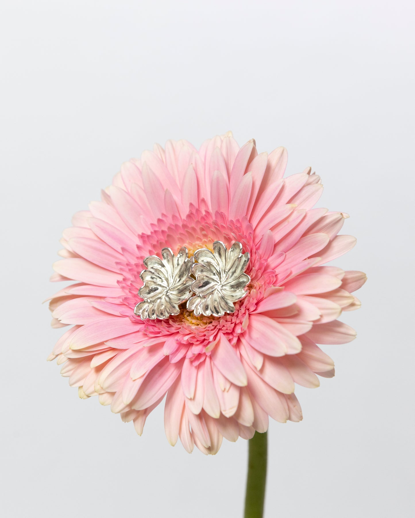Gelsomino earrings 925
